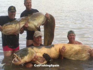 Catfish fishing in river Ebro