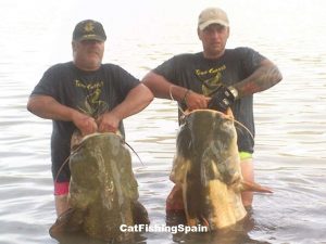 Catfishing in Mequinenza