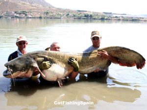 Catfishing in Spain