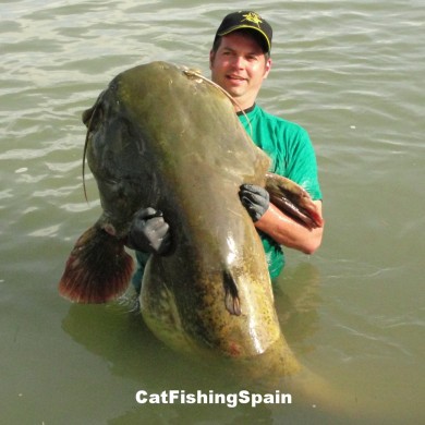 Catfishing in Ebro