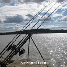 catfishingspain