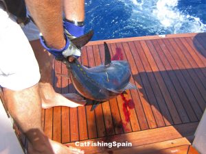 deep-sea fishing in Spain