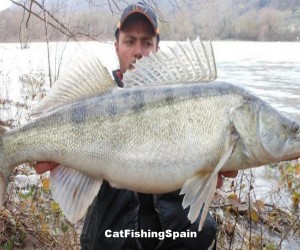 zander fishing in Spain