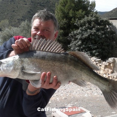 Zander fishing in river Ebro