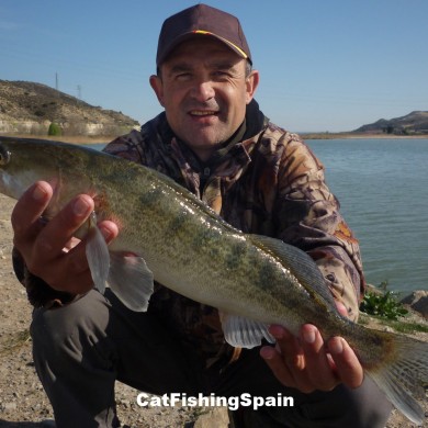Zander fishing in Mequinenza