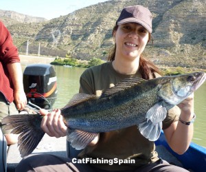 zander fishing in Spain